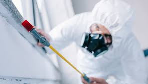 Best Pest Control for Multi-Family Homes  in Blountville, TN